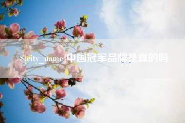 渑池中国冠军品牌是真的吗