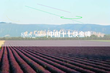 渑池中国十七块金牌