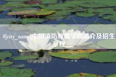 渑池中国消防救援学院简介及招生章程