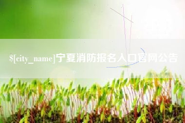 渑池宁夏消防报名入口官网公告