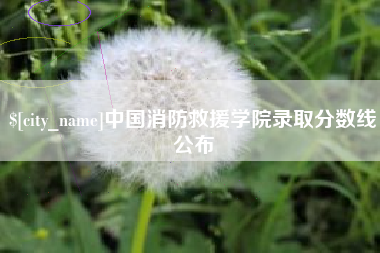 渑池中国消防救援学院录取分数线公布