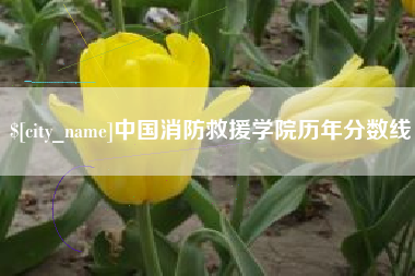渑池中国消防救援学院历年分数线