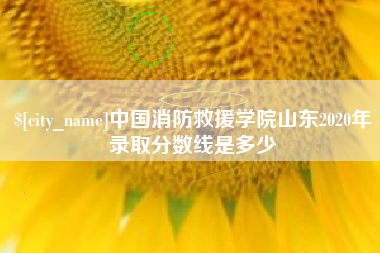 渑池中国消防救援学院山东2020年录取分数线是多少