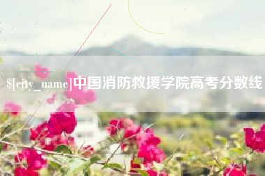 渑池中国消防救援学院高考分数线