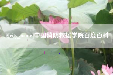 渑池中国消防救援学院百度百科