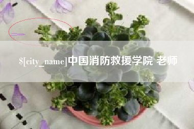 渑池中国消防救援学院 老师
