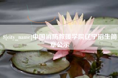 渑池中国消防救援学院辽宁招生简章公示