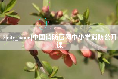 渑池中国消防官网中小学消防公开课