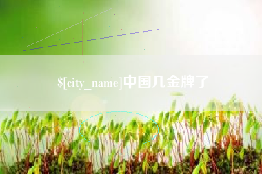 渑池中国几金牌了