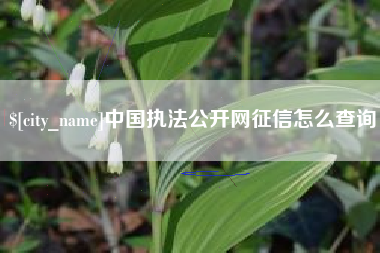 渑池中国执法公开网征信怎么查询