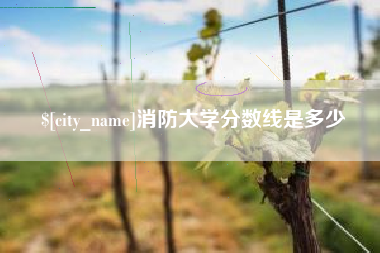 渑池消防大学分数线是多少