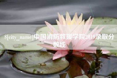 渑池中国消防救援学院2019录取分数线