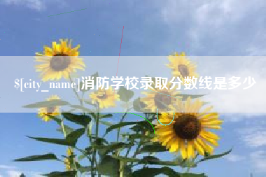 渑池消防学校录取分数线是多少