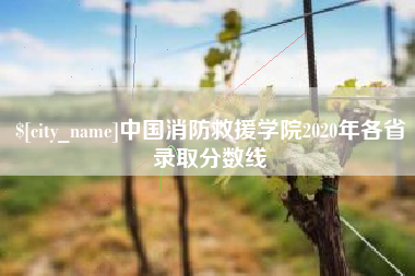 渑池中国消防救援学院2020年各省录取分数线