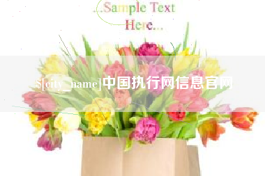 渑池中国执行网信息官网