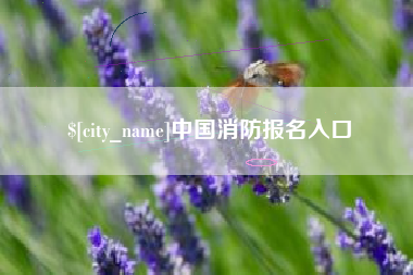 渑池中国消防报名入口