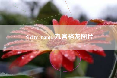 渑池九宫格龙图片