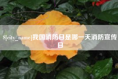 渑池我国消防日是哪一天消防宣传日