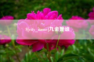 渑池九金是谁