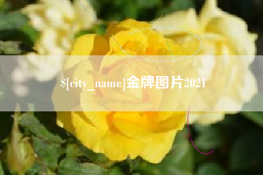 渑池金牌图片2021