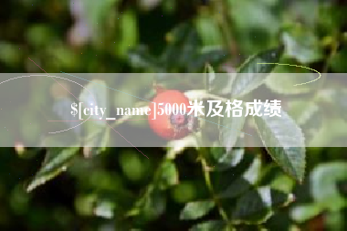 渑池5000米及格成绩