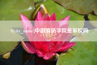 渑池中国消防学院是军校吗