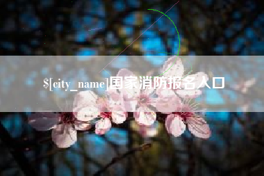 渑池国家消防报名入口