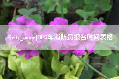 渑池2025年消防员报名时间表格