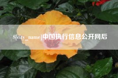 渑池中国执行信息公开网后