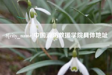 渑池中国消防救援学院具体地址