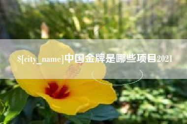 渑池中国金牌是哪些项目2021