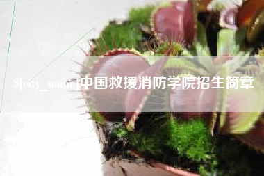 渑池中国救援消防学院招生简章