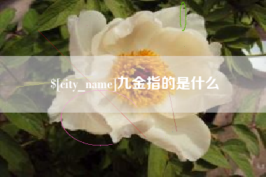 渑池九金指的是什么