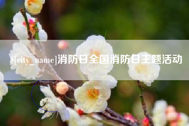 渑池消防日全国消防日主题活动