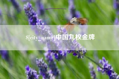 渑池中国九枚金牌
