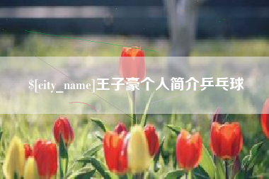 渑池王子豪个人简介乒乓球