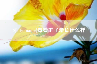 渑池看看王子豪长什么样