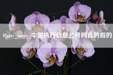 渑池中国执行信息公开网真的假的