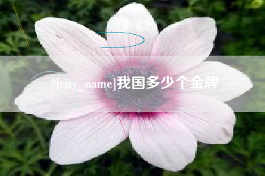 渑池我国多少个金牌