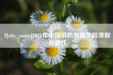 渑池2021年中国消防救援学院录取分数线