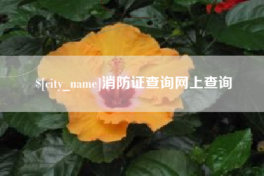 渑池消防证查询网上查询