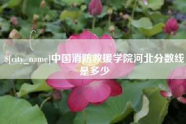 渑池中国消防救援学院河北分数线是多少
