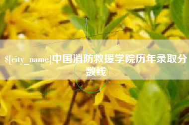 渑池中国消防救援学院历年录取分数线