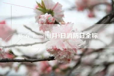 渑池11月9日消防日全称