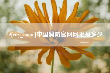 渑池中国消防官网网址是多少