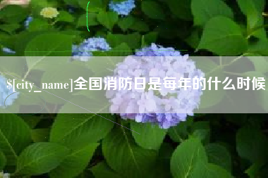 渑池全国消防日是每年的什么时候