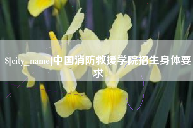 渑池中国消防救援学院招生身体要求