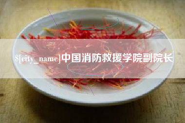 渑池中国消防救援学院副院长