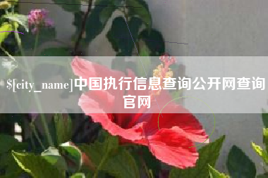 渑池中国执行信息查询公开网查询官网
