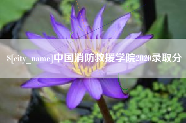 渑池中国消防救援学院2020录取分
